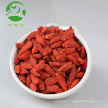 Baies de goji biologiques de nèfle en vrac de goji de haute qualité à vendre